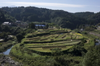 v`炬